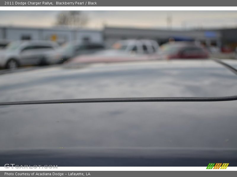 Blackberry Pearl / Black 2011 Dodge Charger Rallye