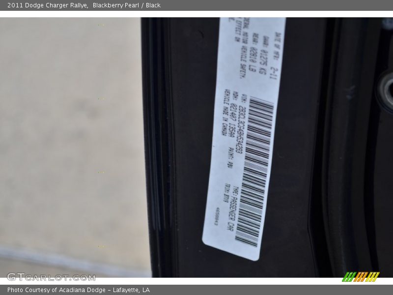 Blackberry Pearl / Black 2011 Dodge Charger Rallye
