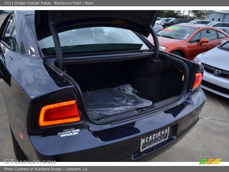Blackberry Pearl / Black 2011 Dodge Charger Rallye