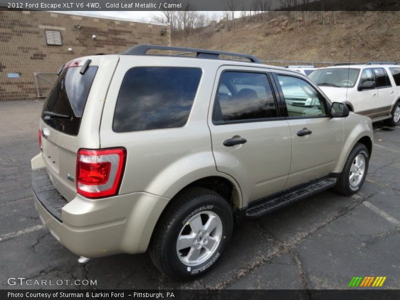 Gold Leaf Metallic / Camel 2012 Ford Escape XLT V6 4WD