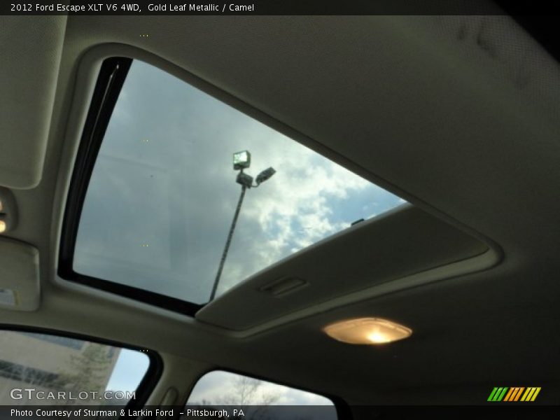 Gold Leaf Metallic / Camel 2012 Ford Escape XLT V6 4WD