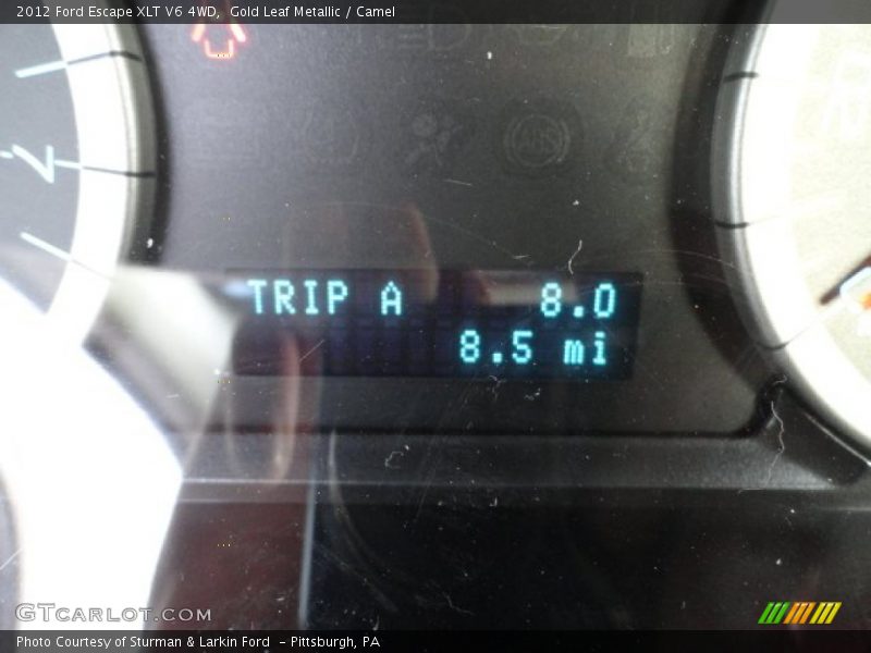 Gold Leaf Metallic / Camel 2012 Ford Escape XLT V6 4WD