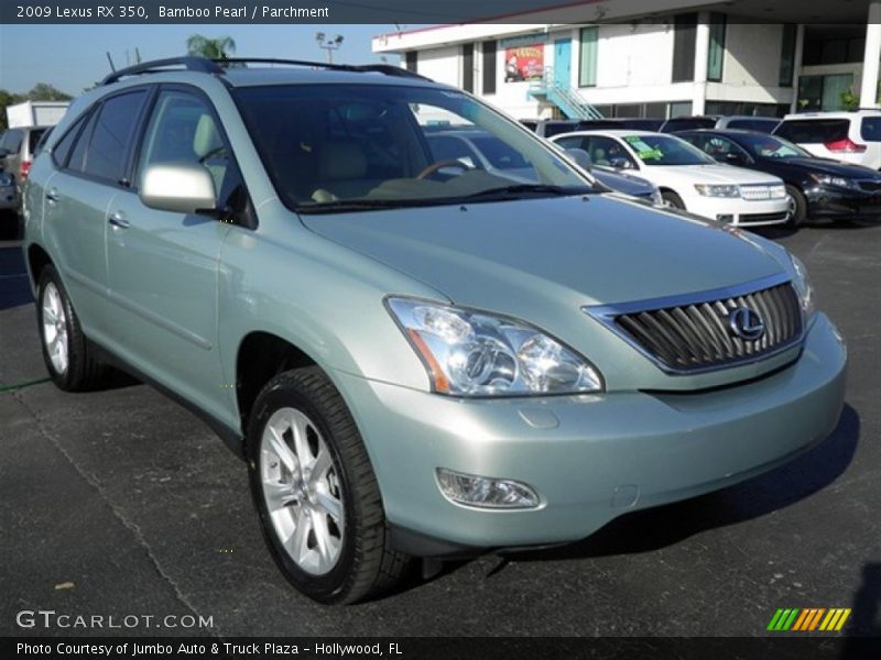 Bamboo Pearl / Parchment 2009 Lexus RX 350
