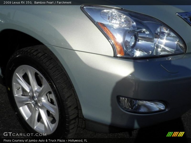 Bamboo Pearl / Parchment 2009 Lexus RX 350