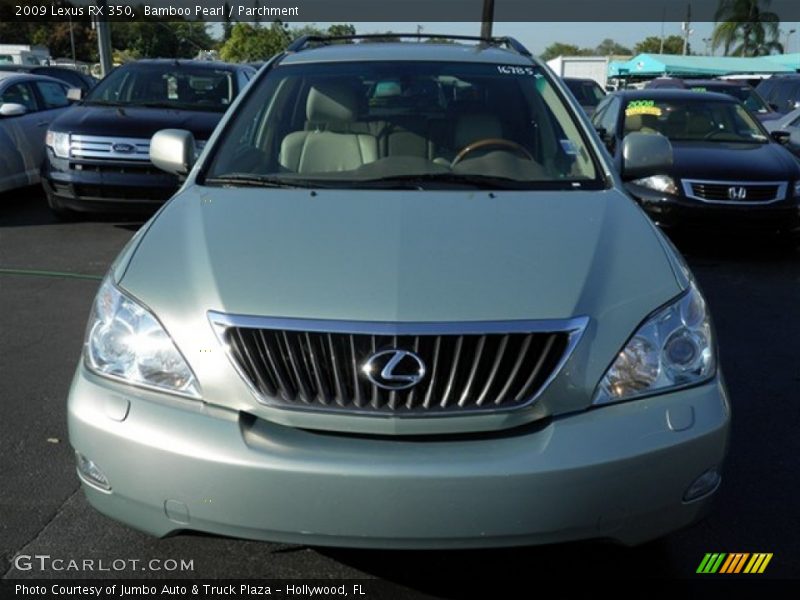 Bamboo Pearl / Parchment 2009 Lexus RX 350
