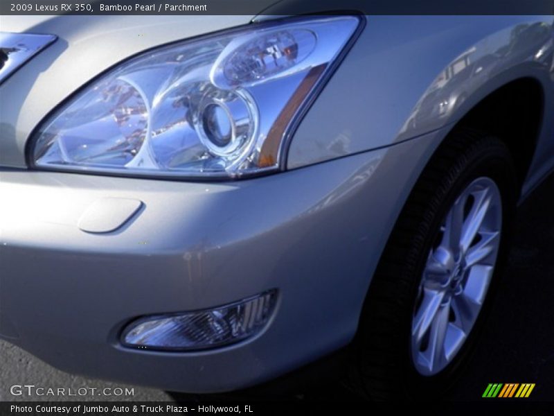 Bamboo Pearl / Parchment 2009 Lexus RX 350