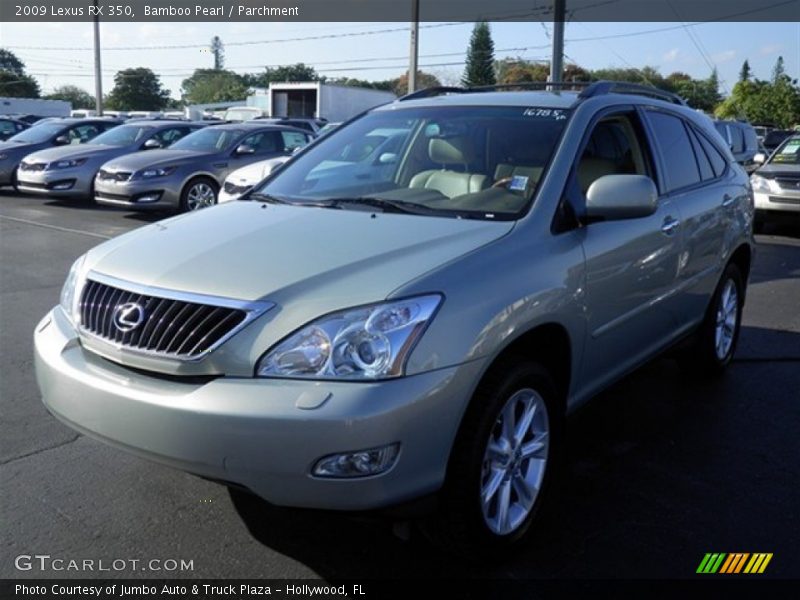 Bamboo Pearl / Parchment 2009 Lexus RX 350