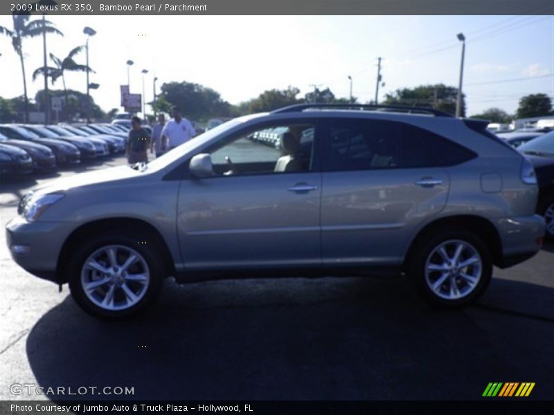 Bamboo Pearl / Parchment 2009 Lexus RX 350