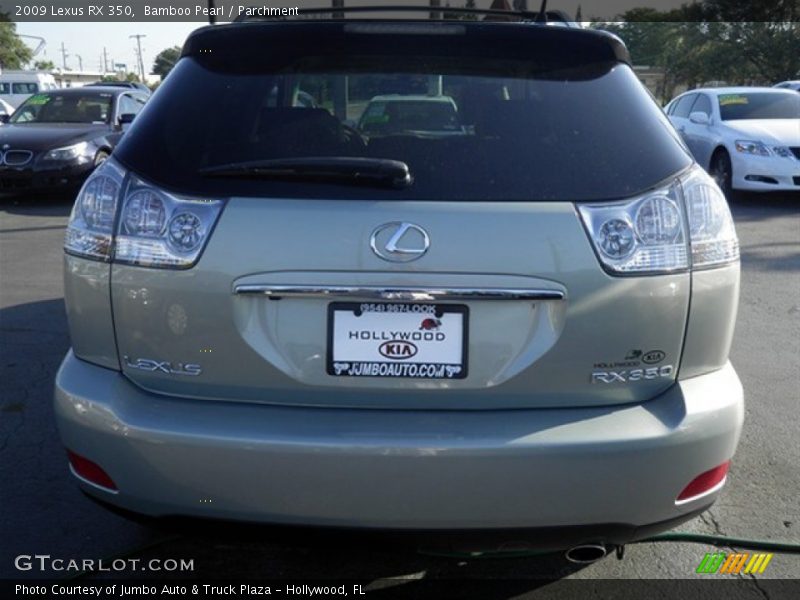 Bamboo Pearl / Parchment 2009 Lexus RX 350