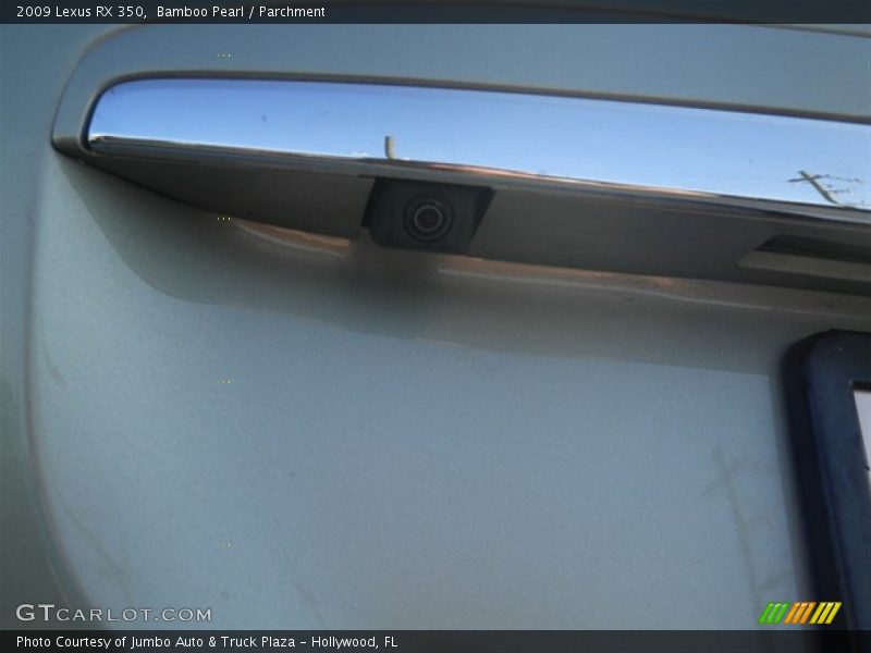 Bamboo Pearl / Parchment 2009 Lexus RX 350