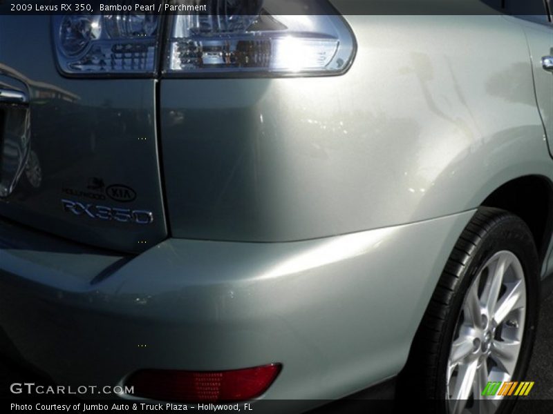 Bamboo Pearl / Parchment 2009 Lexus RX 350