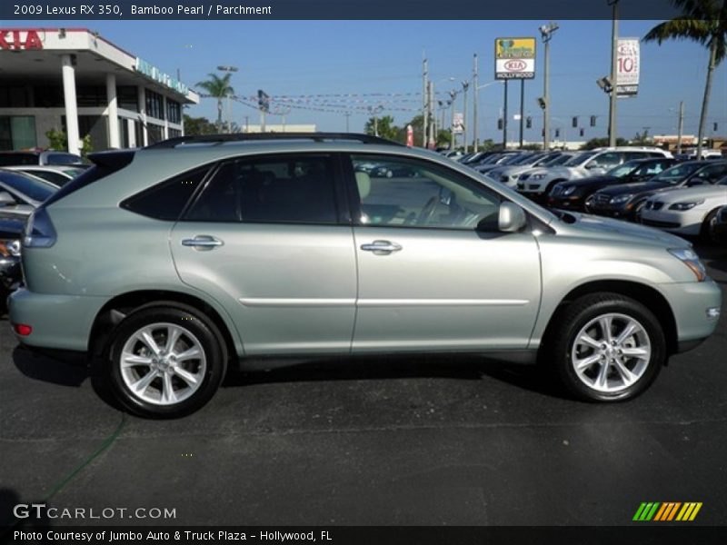Bamboo Pearl / Parchment 2009 Lexus RX 350