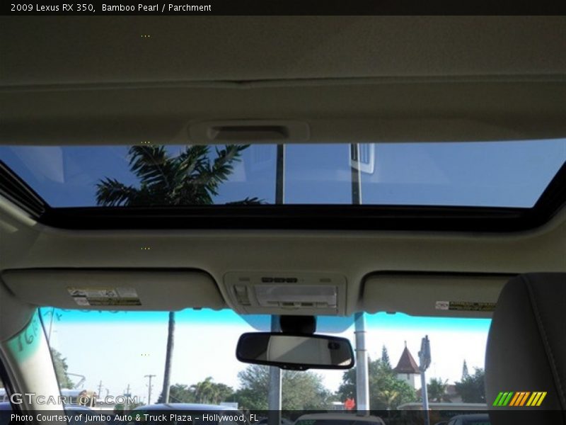 Bamboo Pearl / Parchment 2009 Lexus RX 350