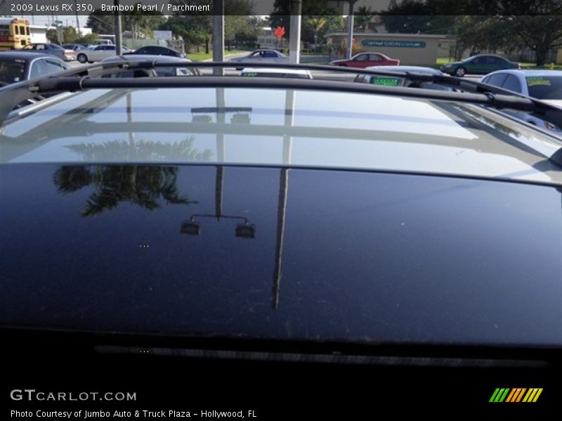 Bamboo Pearl / Parchment 2009 Lexus RX 350