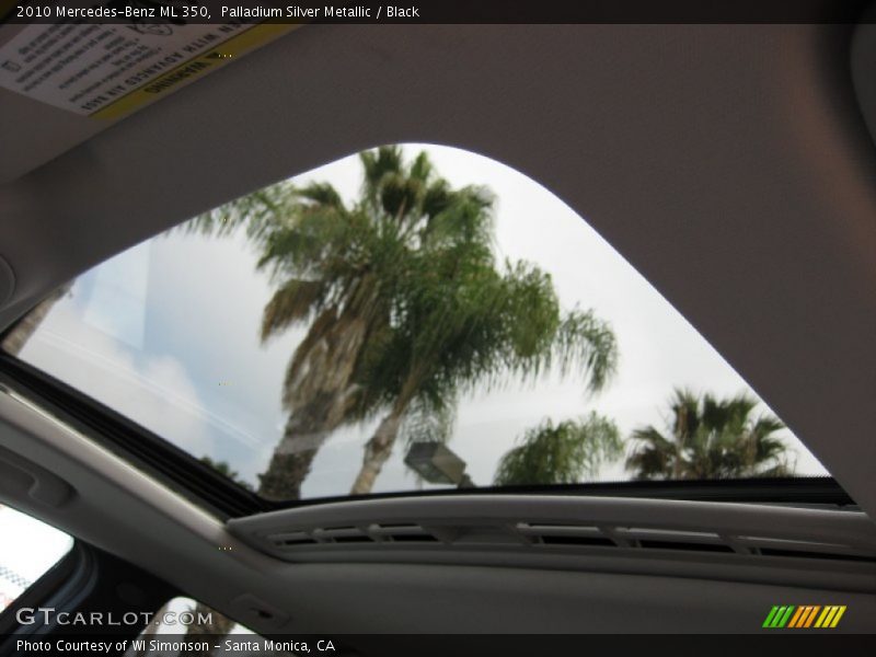 Palladium Silver Metallic / Black 2010 Mercedes-Benz ML 350