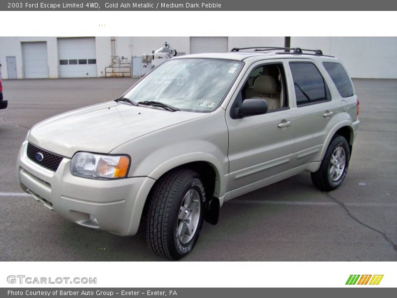 Gold Ash Metallic / Medium Dark Pebble 2003 Ford Escape Limited 4WD