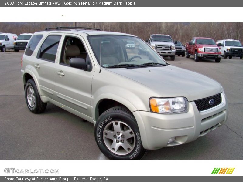 Gold Ash Metallic / Medium Dark Pebble 2003 Ford Escape Limited 4WD