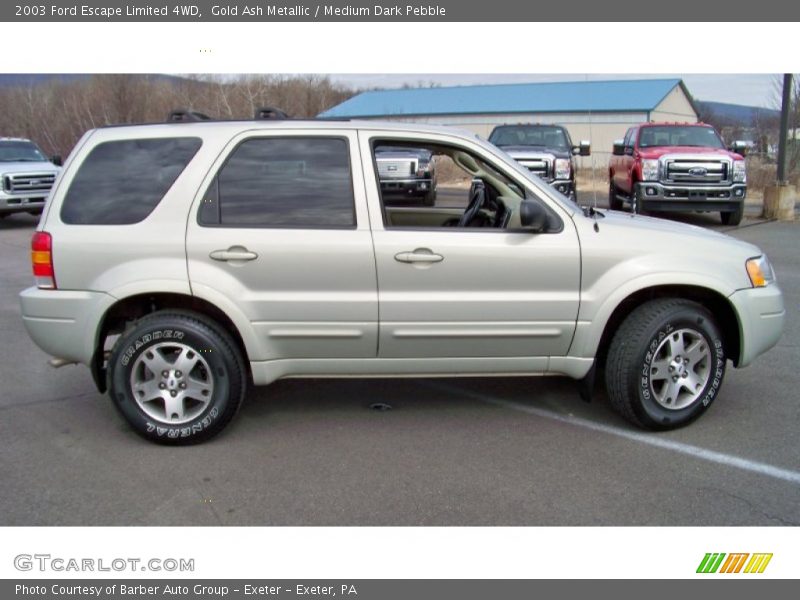 Gold Ash Metallic / Medium Dark Pebble 2003 Ford Escape Limited 4WD