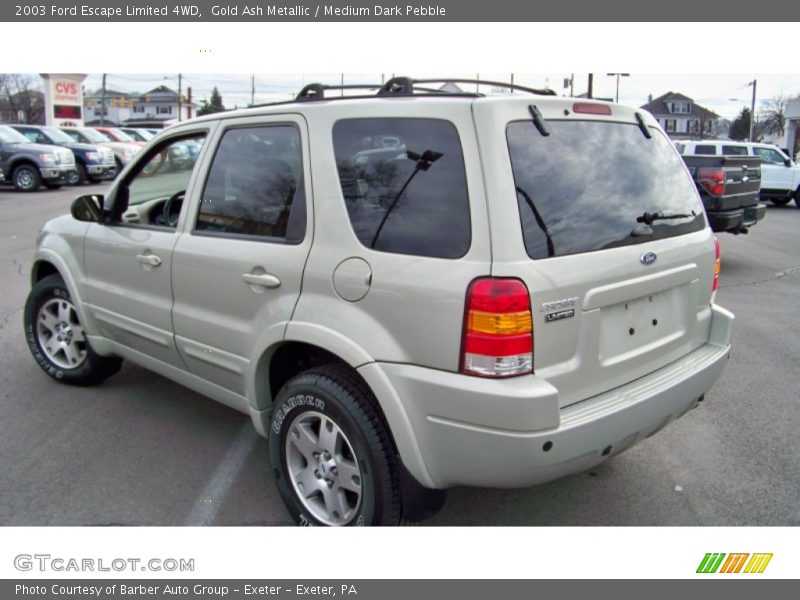 Gold Ash Metallic / Medium Dark Pebble 2003 Ford Escape Limited 4WD