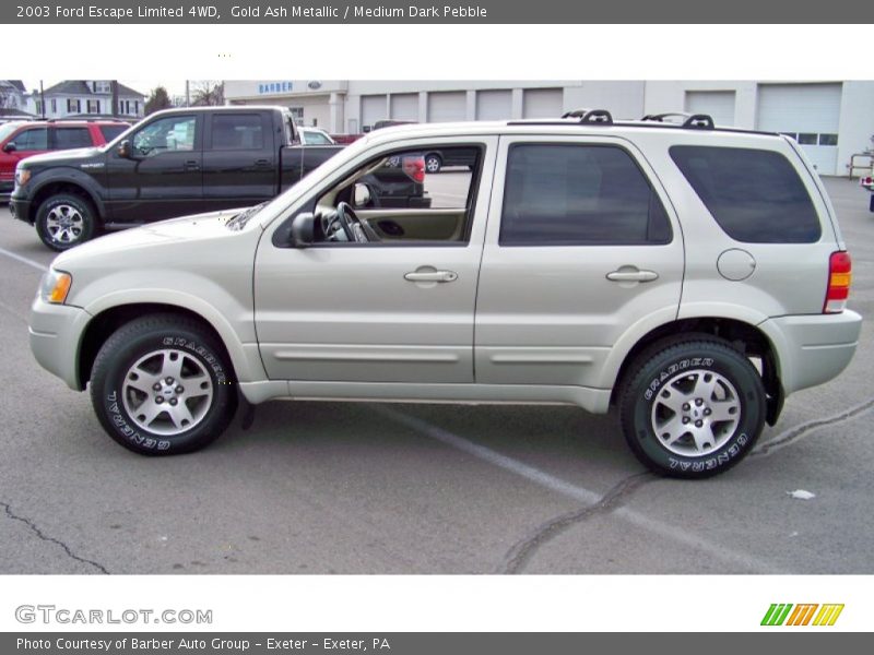 Gold Ash Metallic / Medium Dark Pebble 2003 Ford Escape Limited 4WD