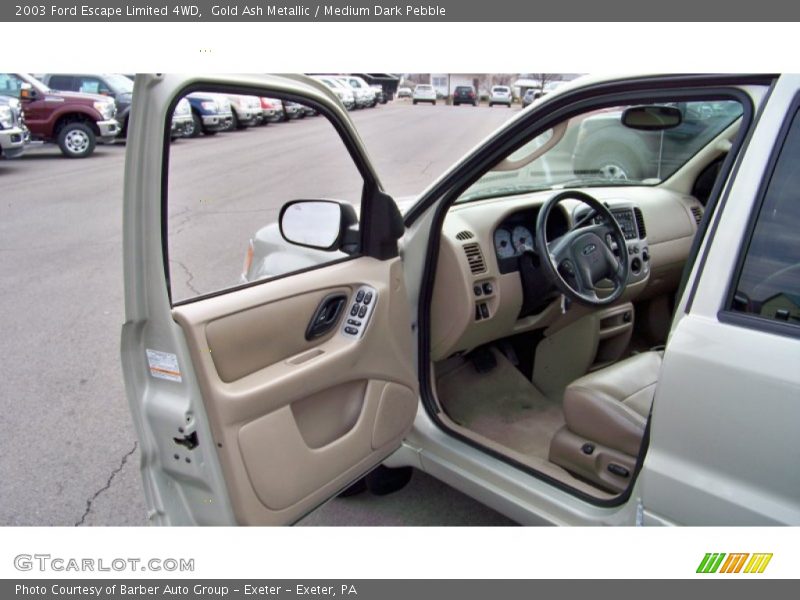 Gold Ash Metallic / Medium Dark Pebble 2003 Ford Escape Limited 4WD