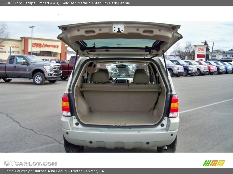 Gold Ash Metallic / Medium Dark Pebble 2003 Ford Escape Limited 4WD