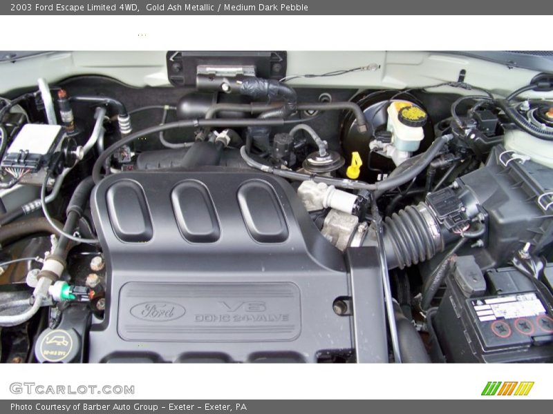 Gold Ash Metallic / Medium Dark Pebble 2003 Ford Escape Limited 4WD