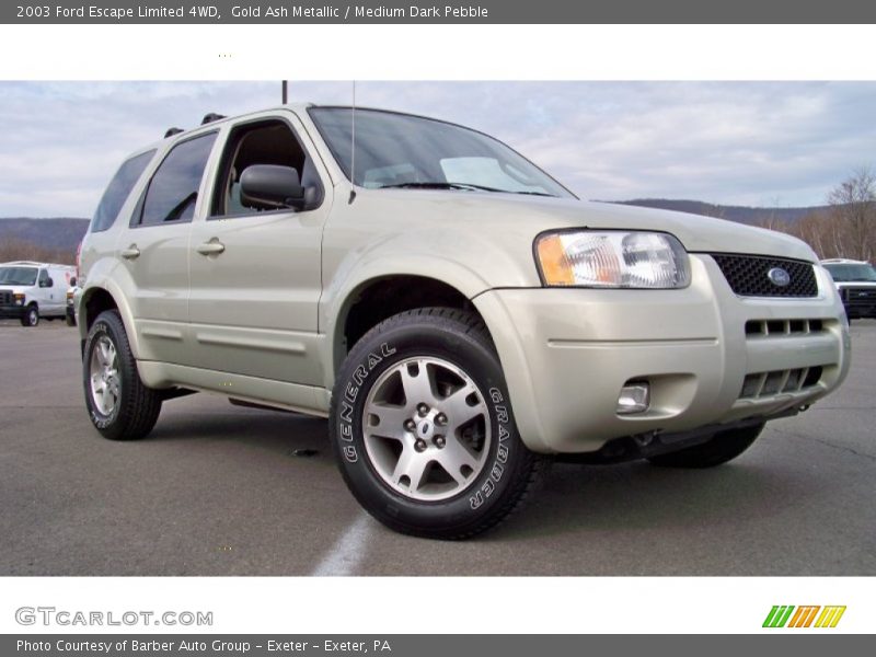 Gold Ash Metallic / Medium Dark Pebble 2003 Ford Escape Limited 4WD