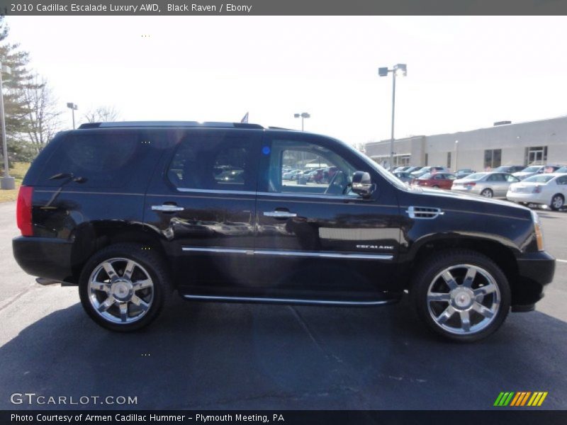 Black Raven / Ebony 2010 Cadillac Escalade Luxury AWD