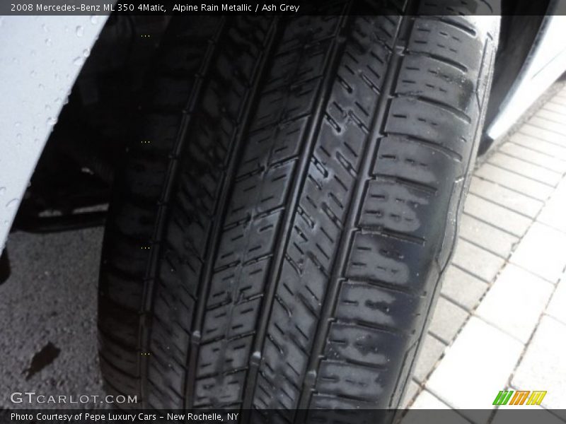 Alpine Rain Metallic / Ash Grey 2008 Mercedes-Benz ML 350 4Matic