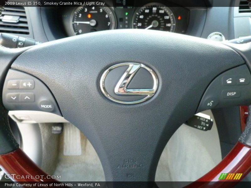 Smokey Granite Mica / Light Gray 2009 Lexus ES 350