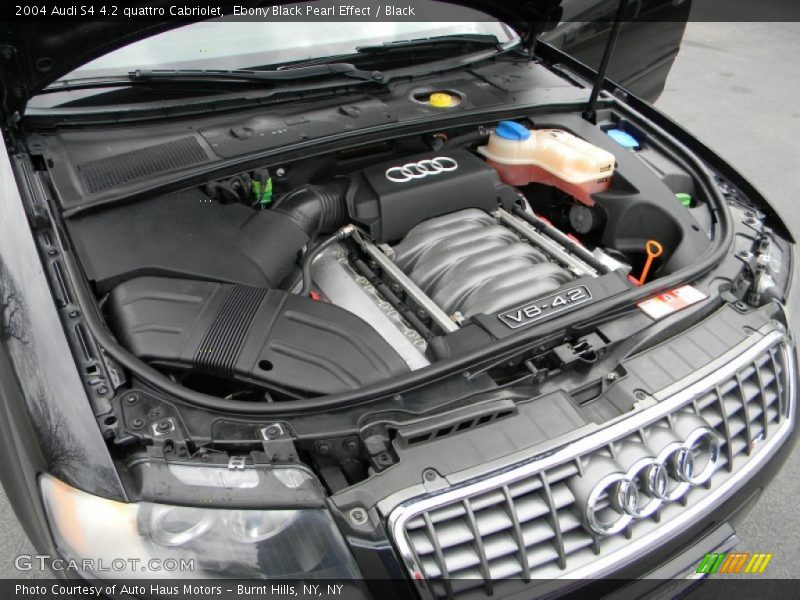  2004 S4 4.2 quattro Cabriolet Engine - 4.2 Liter DOHC 40-Valve V8
