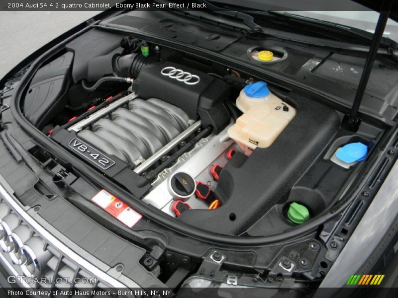  2004 S4 4.2 quattro Cabriolet Engine - 4.2 Liter DOHC 40-Valve V8