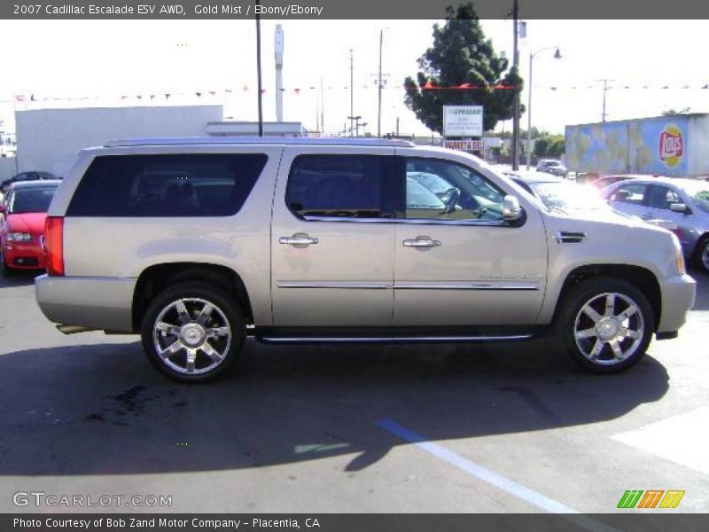 Gold Mist / Ebony/Ebony 2007 Cadillac Escalade ESV AWD