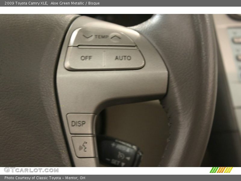 Aloe Green Metallic / Bisque 2009 Toyota Camry XLE