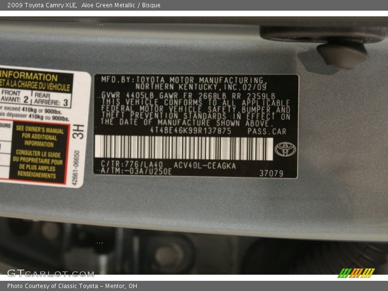 Aloe Green Metallic / Bisque 2009 Toyota Camry XLE