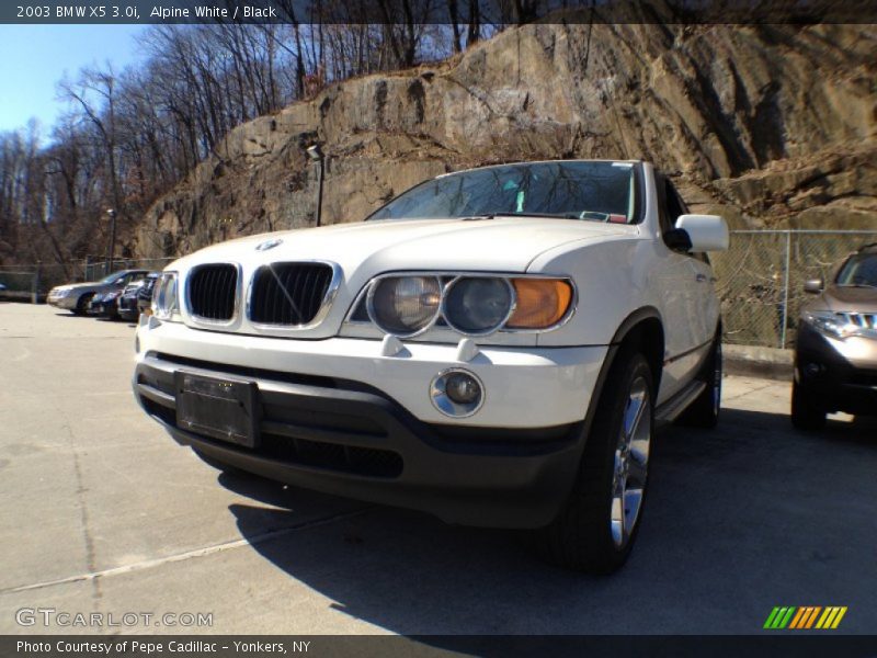 Alpine White / Black 2003 BMW X5 3.0i