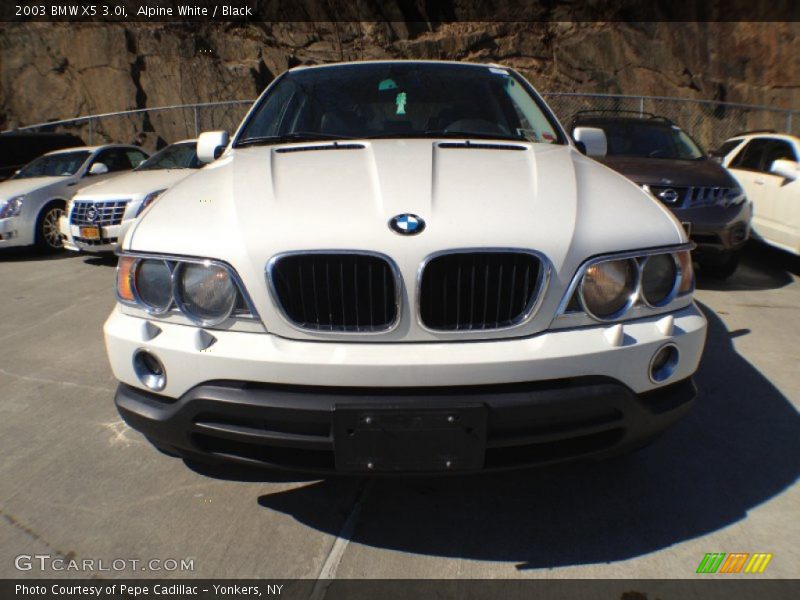 Alpine White / Black 2003 BMW X5 3.0i