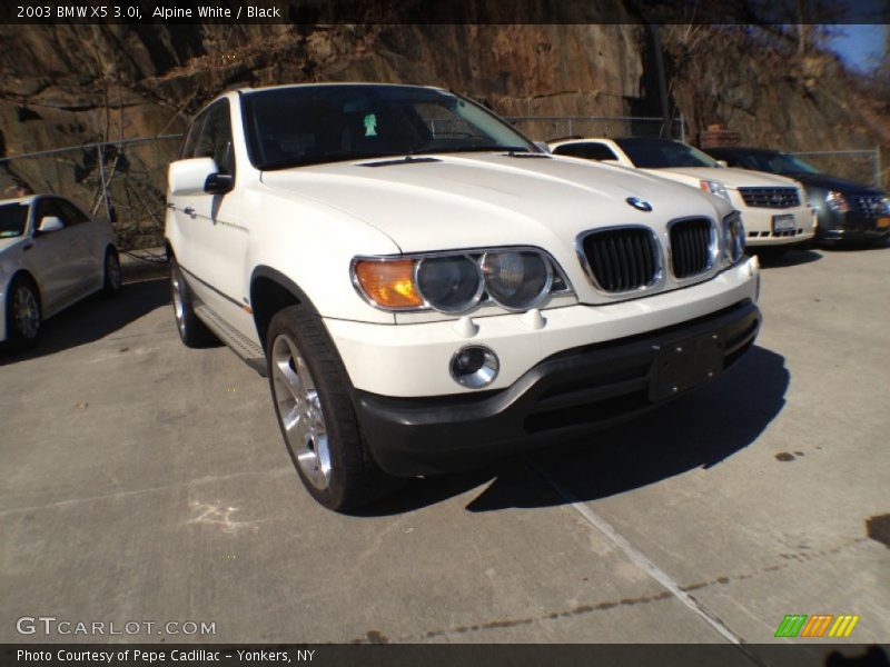 Alpine White / Black 2003 BMW X5 3.0i