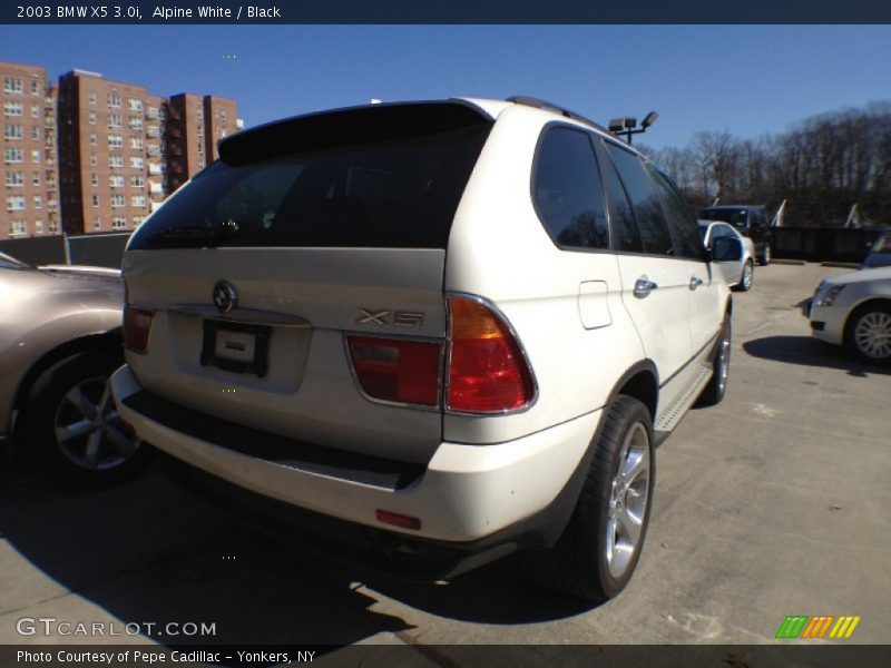 Alpine White / Black 2003 BMW X5 3.0i