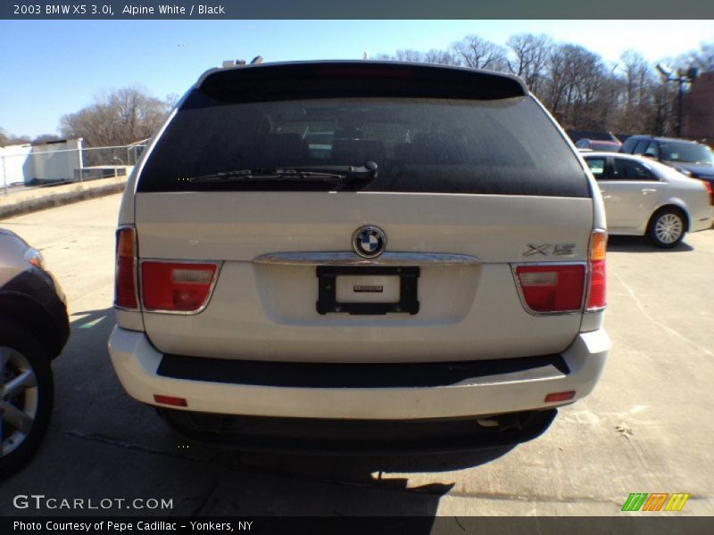 Alpine White / Black 2003 BMW X5 3.0i