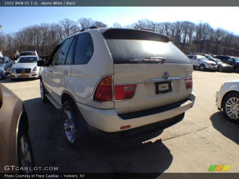 Alpine White / Black 2003 BMW X5 3.0i