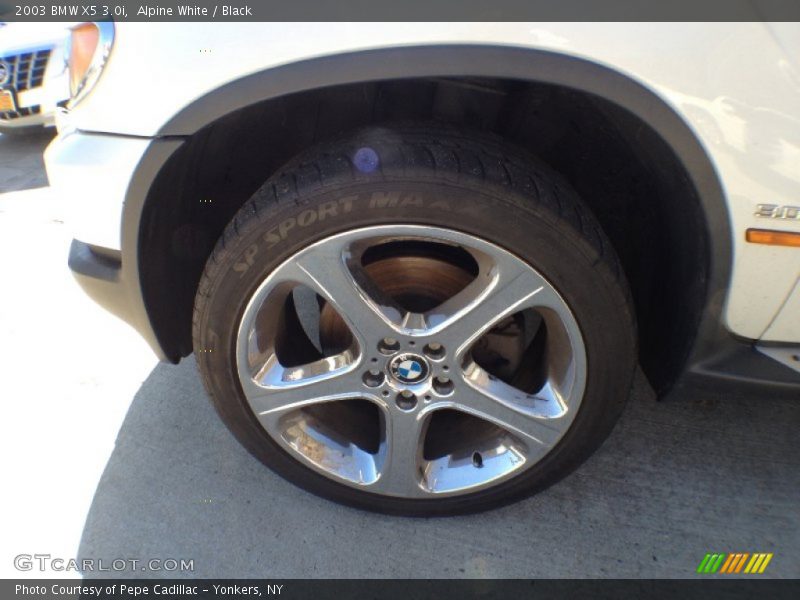 Alpine White / Black 2003 BMW X5 3.0i