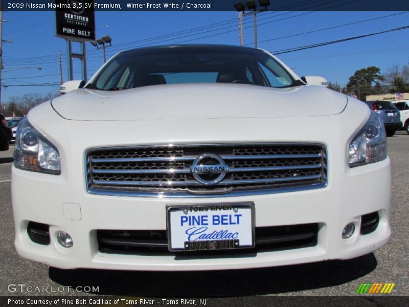 Winter Frost White / Charcoal 2009 Nissan Maxima 3.5 SV Premium