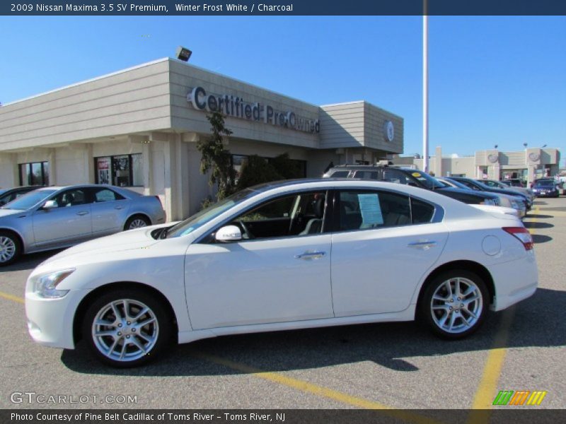 Winter Frost White / Charcoal 2009 Nissan Maxima 3.5 SV Premium
