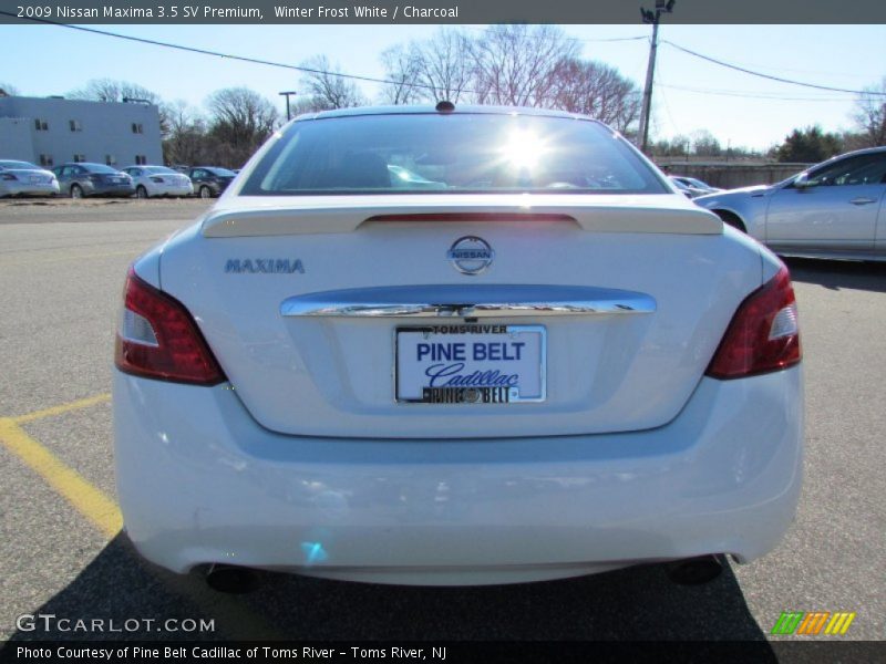 Winter Frost White / Charcoal 2009 Nissan Maxima 3.5 SV Premium