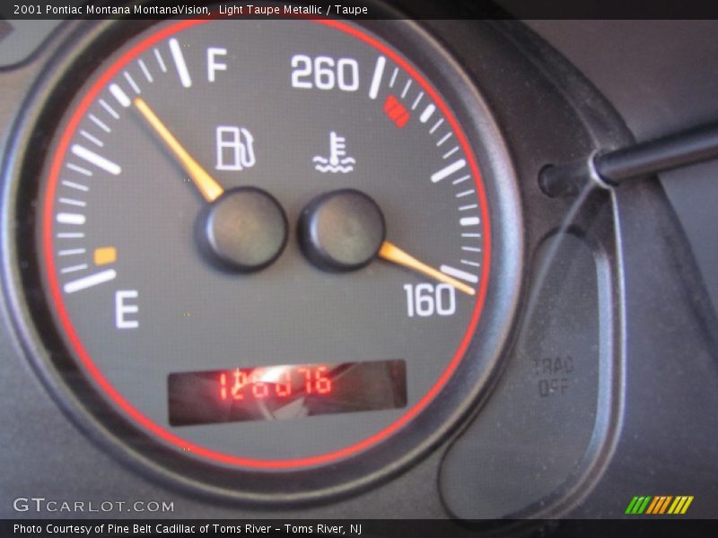 Light Taupe Metallic / Taupe 2001 Pontiac Montana MontanaVision