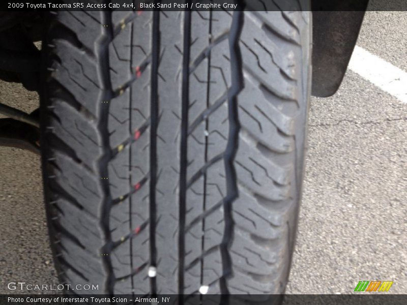 Black Sand Pearl / Graphite Gray 2009 Toyota Tacoma SR5 Access Cab 4x4