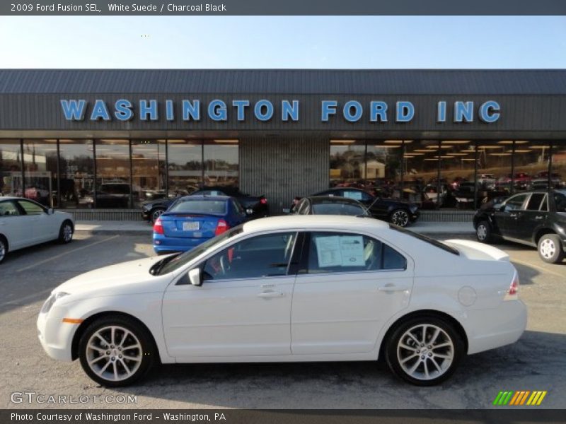 White Suede / Charcoal Black 2009 Ford Fusion SEL