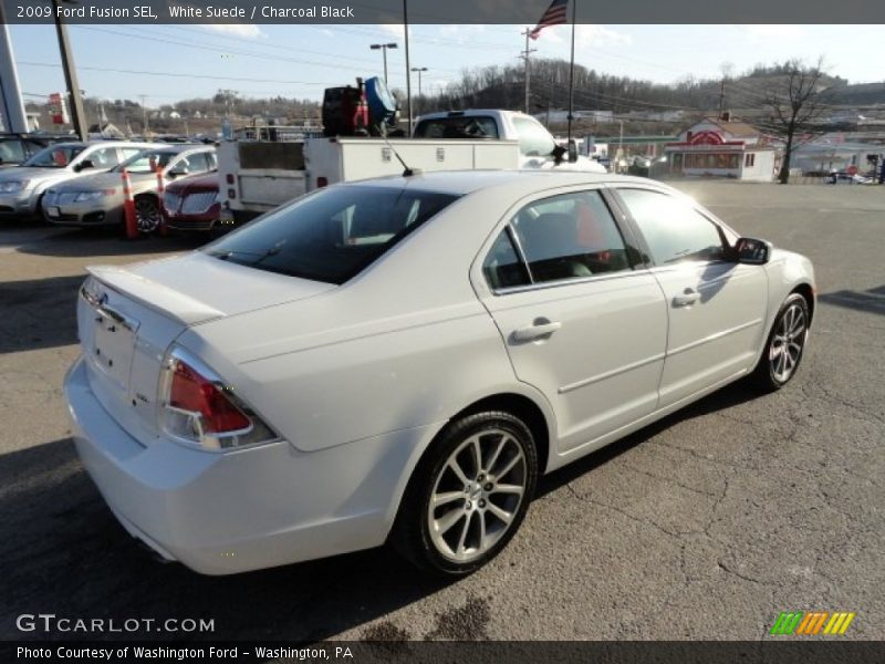 White Suede / Charcoal Black 2009 Ford Fusion SEL